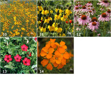 Load image into Gallery viewer, Wildflower Scatter Garden