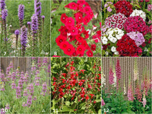 Load image into Gallery viewer, Hummingbird Scatter Garden