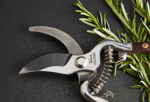 Thai Kitchen & Garden Shears