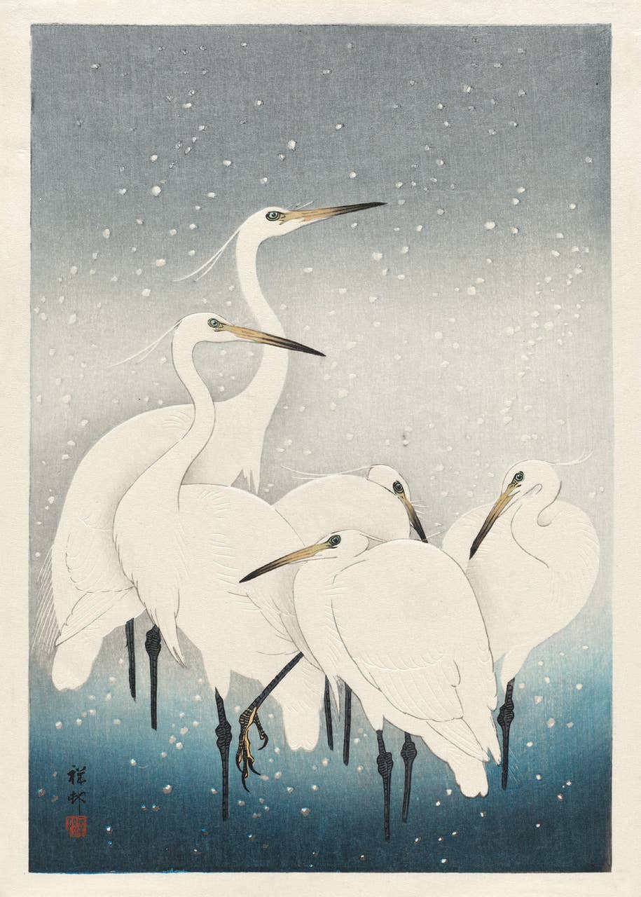 Herons In The Snow Boxed Cards