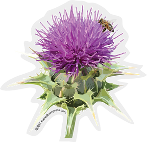 Thistle and Bee Sticker
