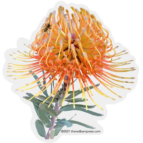 Protea and Honey Bee Sticker