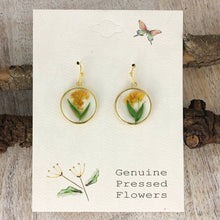 Load image into Gallery viewer, Yellow &amp; Green Dried Flower Round Earrings