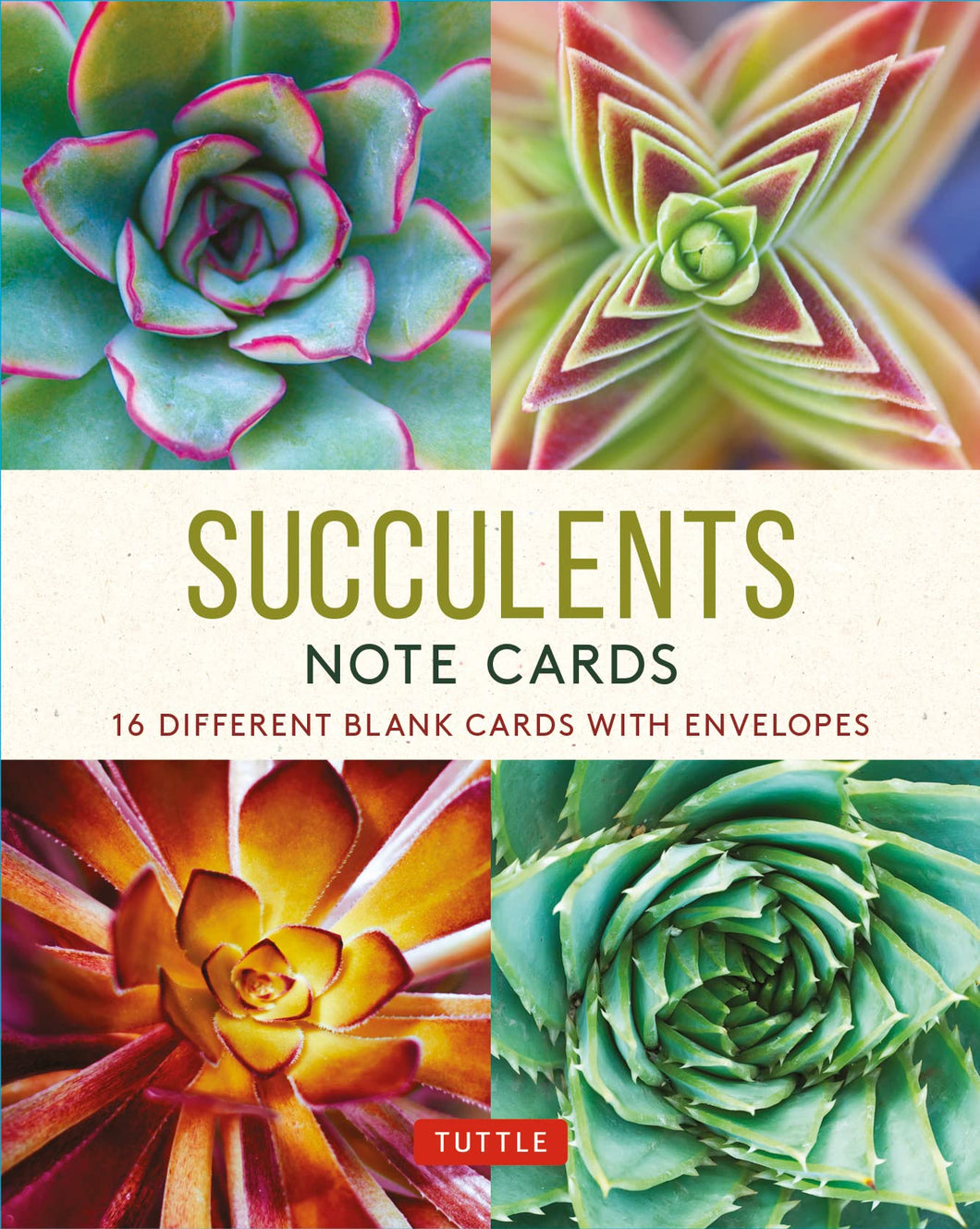 Succulents Note Cards