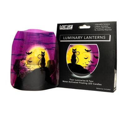 Black Cat Luminary Lanterns