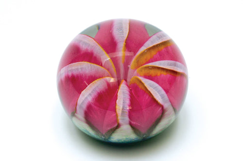 Pink Ruby Fruit Paperweight