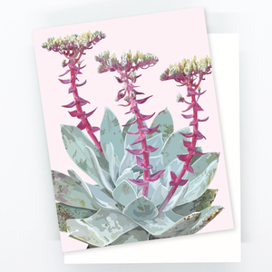 Three Flower Succulent Notecard